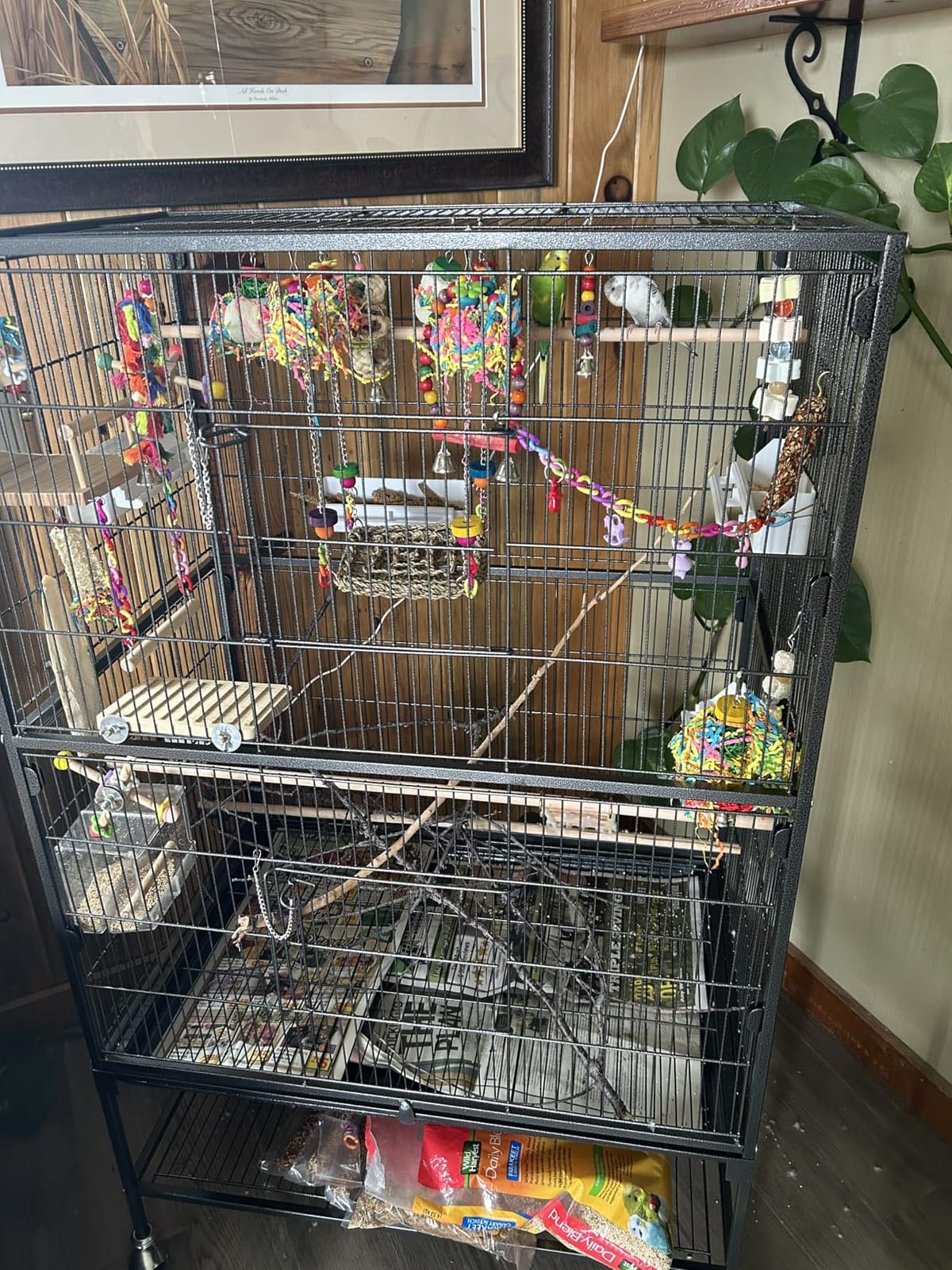 VEVOR Bird Cage, 31.5 x 20.5 x 52 inch, Flat Top, Wrought Iron Bird Flight Cage with Perches, Slide-Out Tray and Plastic Feeders, Casters, for Parrot, Blue Tit, Cockatiel, Canary, and Monk Parakeet customer photo 1
