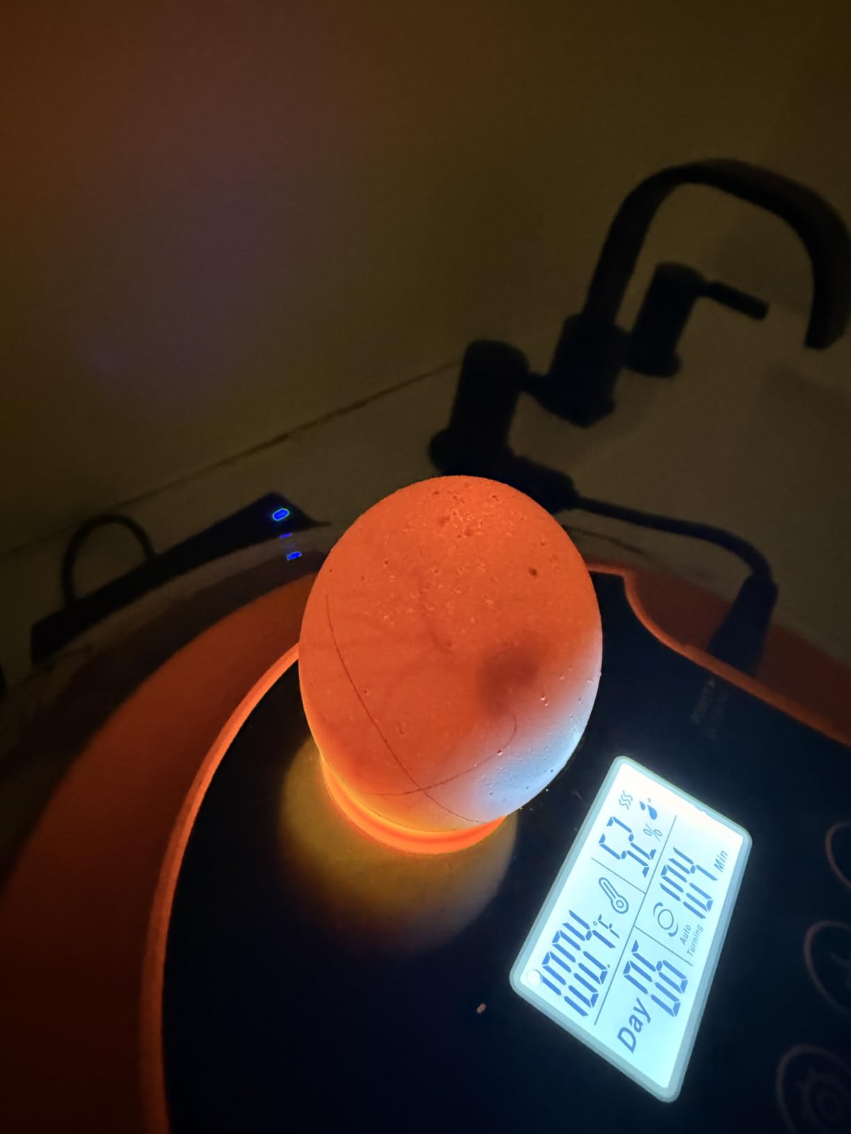 18 Egg Incubators for Hatching Eggs, Automatic Egg Turning and Humidity Control Incubator for Hatch Chicken Duck Quail Pigeon Pheasant Partridge Home Classroom Lab- customer photo 1