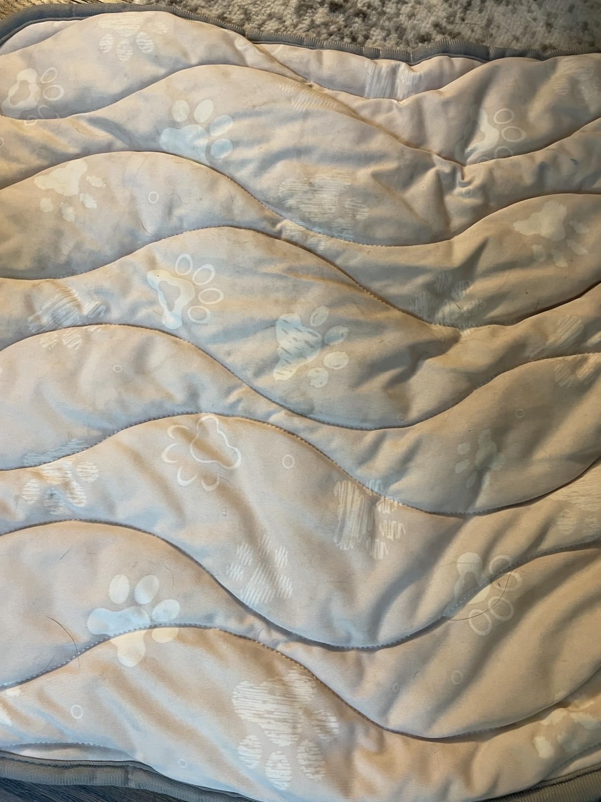 44x32in Dog Cooling Mat with One-Way Moisture & Arc-Chill 3.0, Color-Changing Cool Indicator, Washable, Non-Slip Pet Bed, One-Way Moisture Tech Keeps Cool & Dry for Floors, Sofas, Kennels customer photo 2