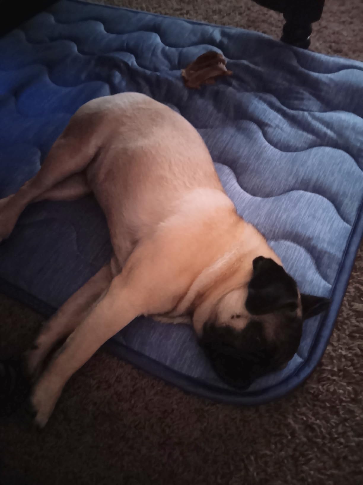 Cooling Mat for Large Dogs, 39