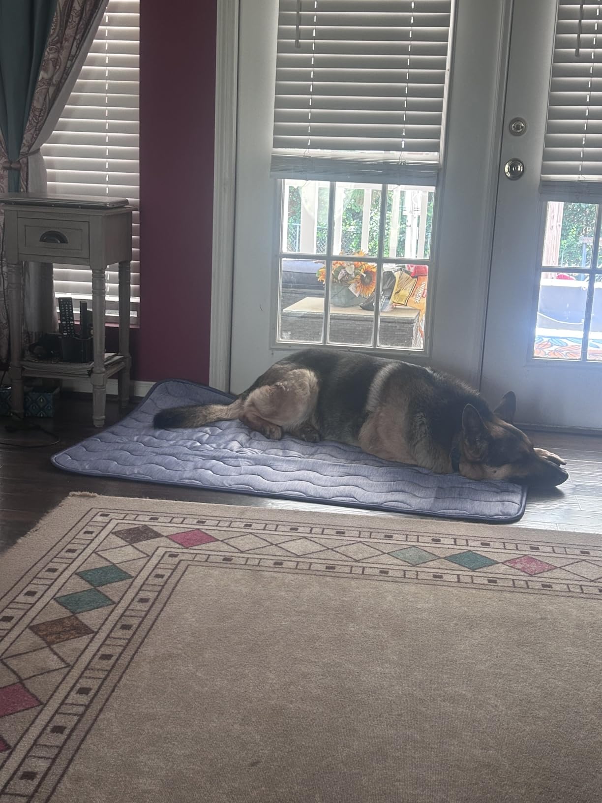Cooling Mat for Large Dogs, 39