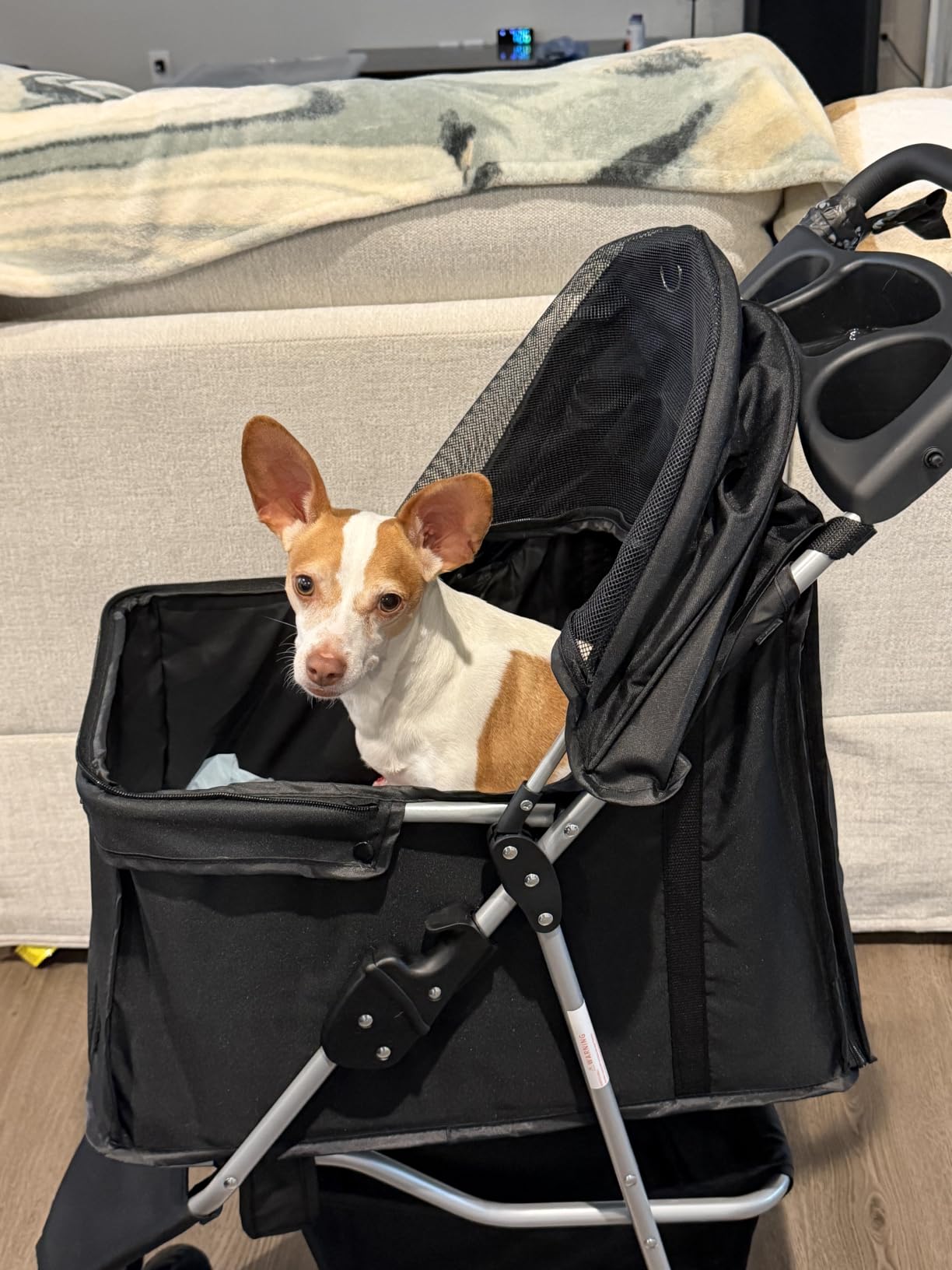 Foldable 3 Wheel Pet Stroller for Dogs and Cats, Grey | Lightweight and Durable, Ideal for Small to Medium Pets, Includes Storage Basket and Cup Holders customer photo 2