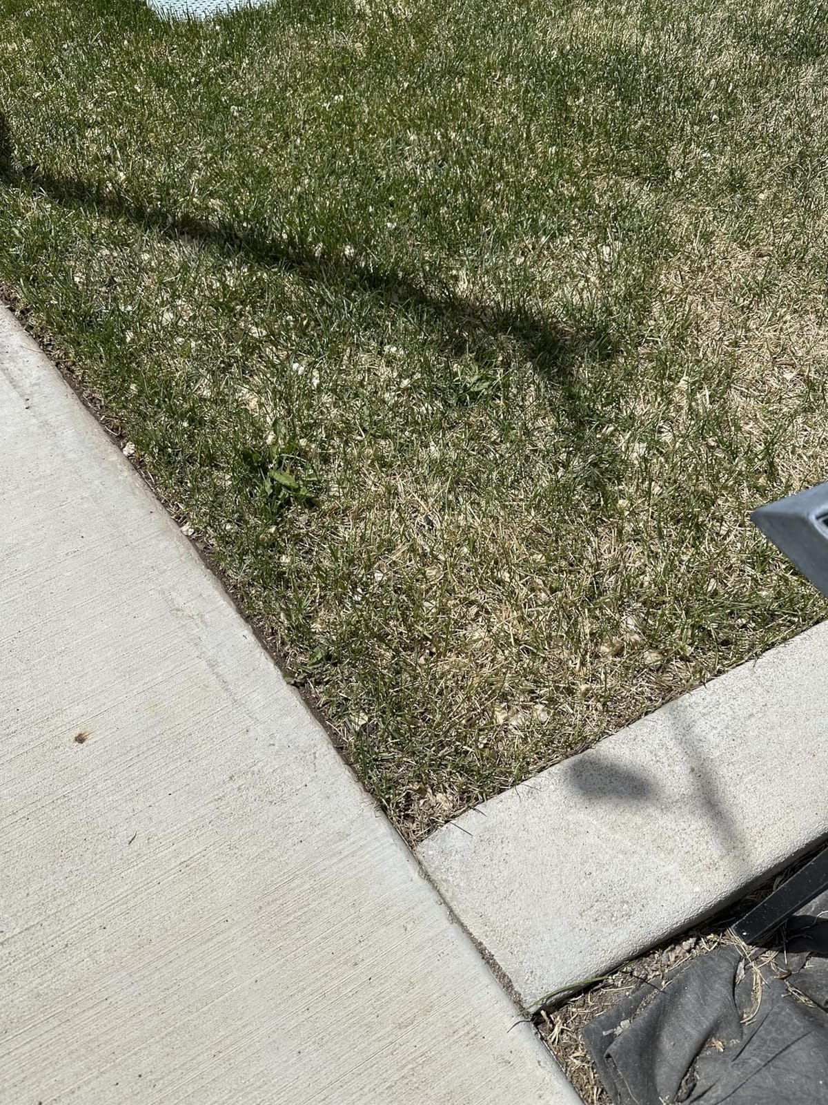 Manual Edger Lawn Tool, 75 Inch Wheel Rotary Edger for Lawn with Extra-Wide Wheel, Grass Edge Trimmer with Adjustable Handle, Ideal Hand Edging Tool for Sidewalk, Driveways and Landscaping customer photo 1