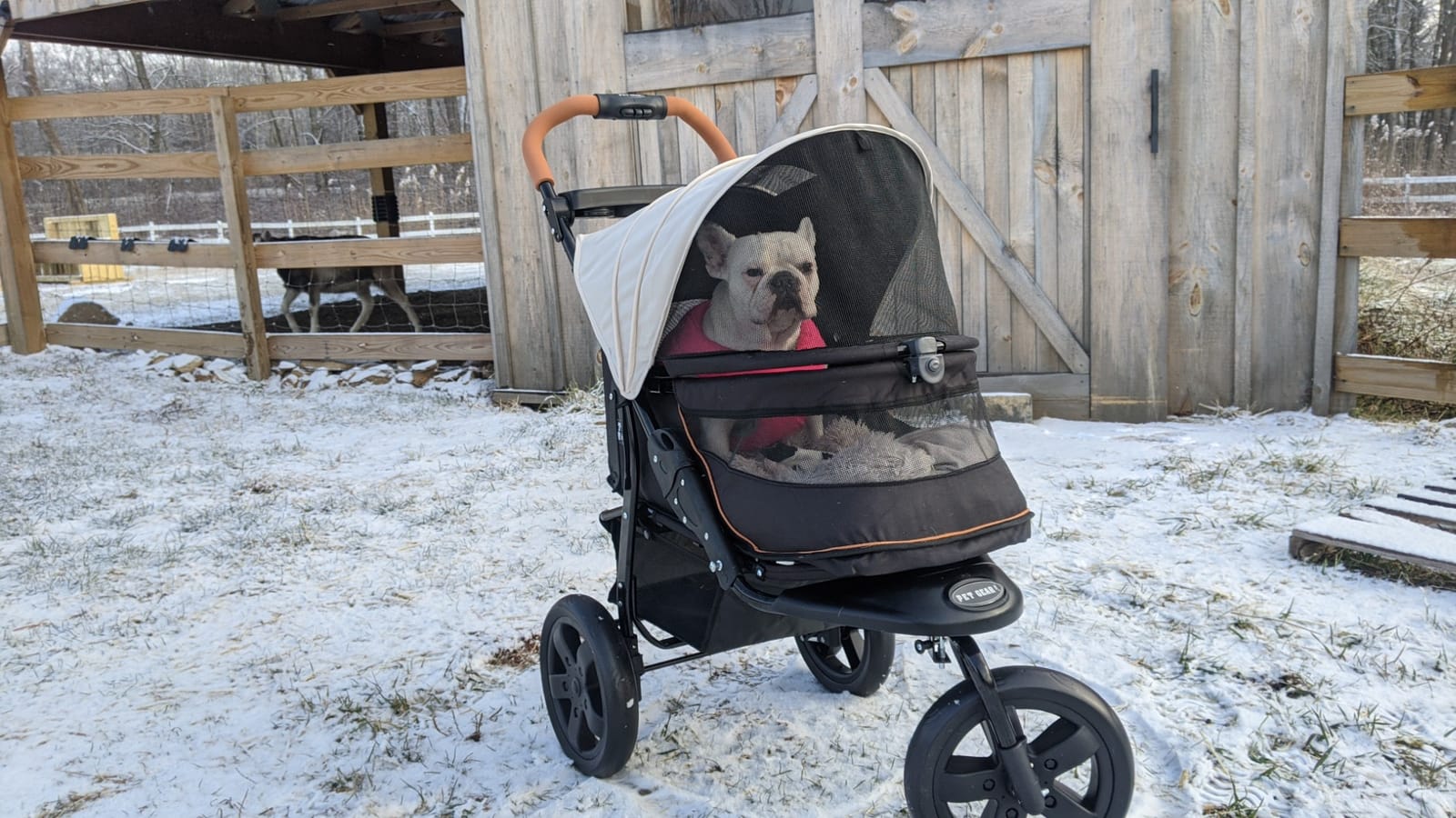 Pet Gear No-Zip AT3 Pet Stroller for Cats/Dogs, Sea Salt - Zipperless Entry, Easy One-Hand Fold, Jogging Tires, Removable Liner, Cup Holder + Storage Basket customer photo 1