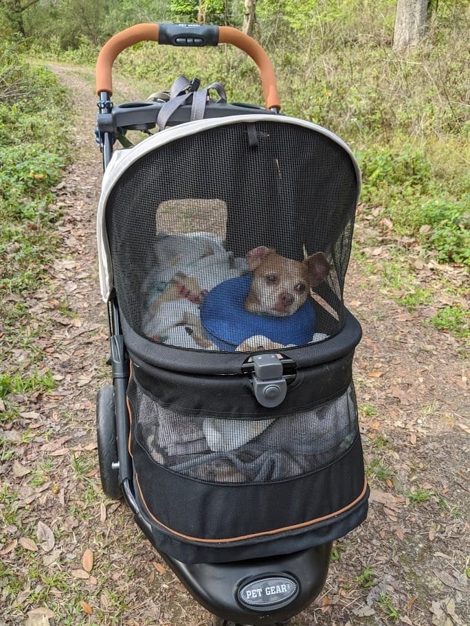 Pet Gear No-Zip AT3 Pet Stroller for Cats/Dogs, Sea Salt - Zipperless Entry, Easy One-Hand Fold, Jogging Tires, Removable Liner, Cup Holder + Storage Basket customer photo 2