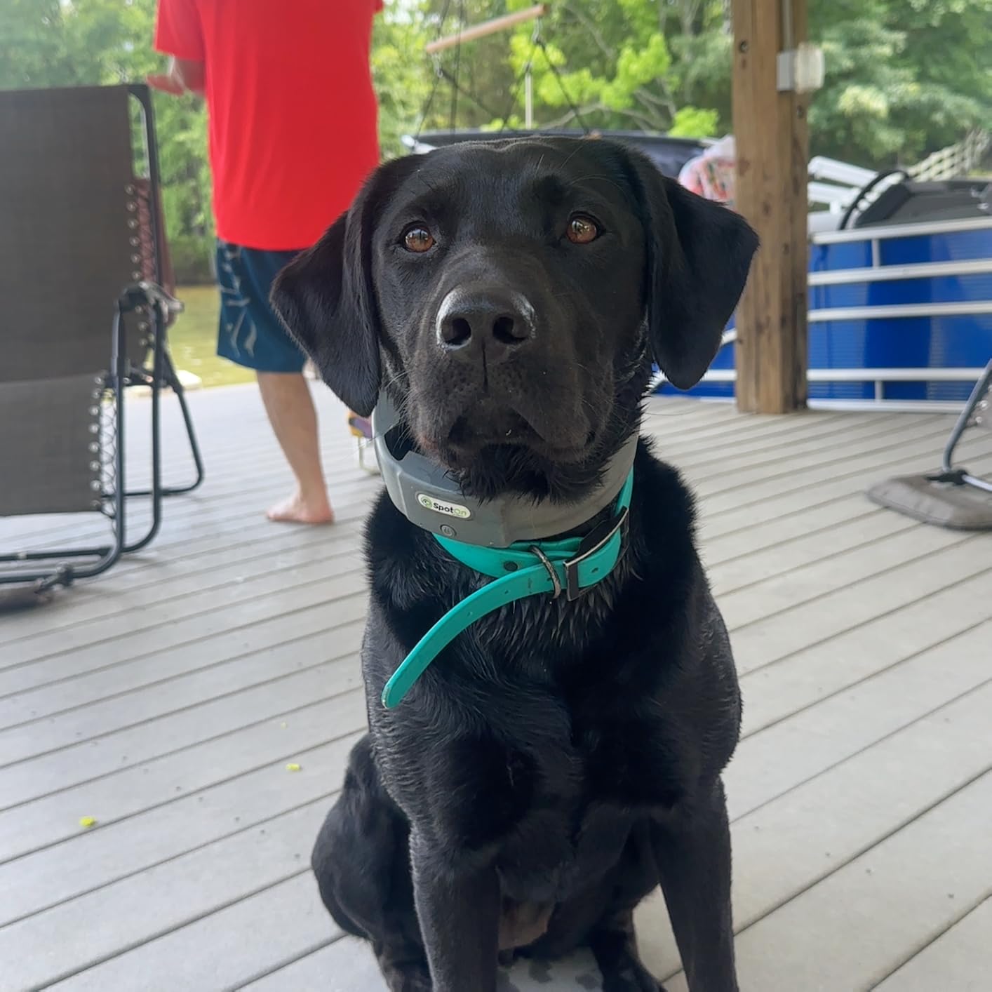 SpotOn GPS Dog Collar Nova Edition, Wireless GPS Fence, App-Controlled Boundaries, No Subscription Required customer photo 2
