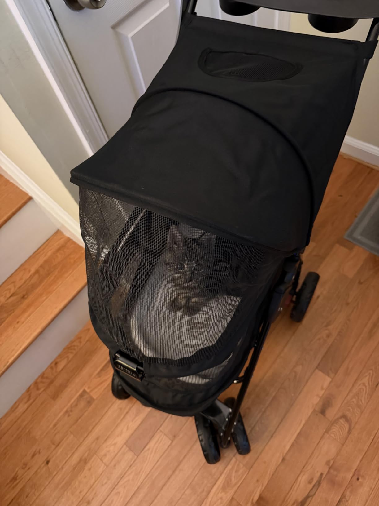 Pet Gear No-Zip Happy Trails Lite Pet Stroller, Green Clover | Zipperless Entry, Easy Fold with Removable Liner, Safety Tether, Storage Basket + Cup Holder, For Cats/Dogs customer photo 1