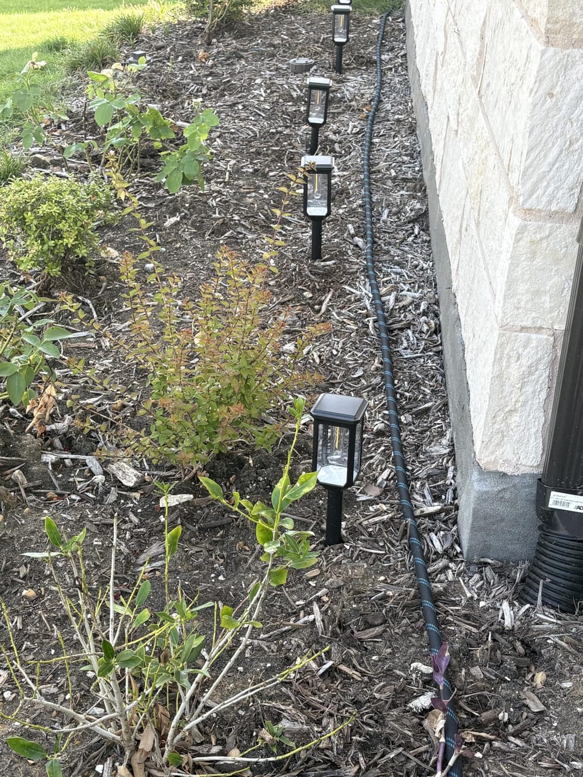 Tenmiro Solar Pathway Lights Outdoor 8 Pack, Bright Solar Garden Lights | IP65 Waterproof Shatterproof, Auto On/Off Landscape Lighting for Yard Lawn Patio Walkway Driveway Decor 3000K customer photo 2
