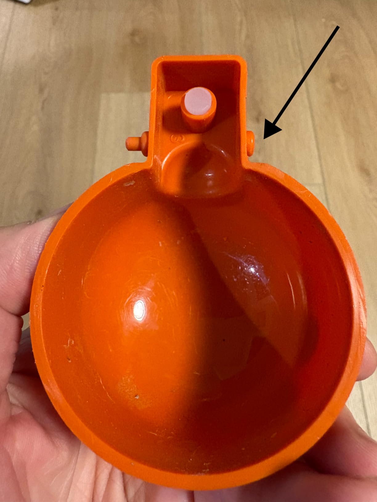 Omlet Insulated Chicken Waterer, 1.5 Gallon | Stay-Clean Automatic Water Dispenser for Chickens | BPA-Free | Anti-Roost Domed Lid | Includes 3 Cups & Nipples | Sage Green customer photo 1