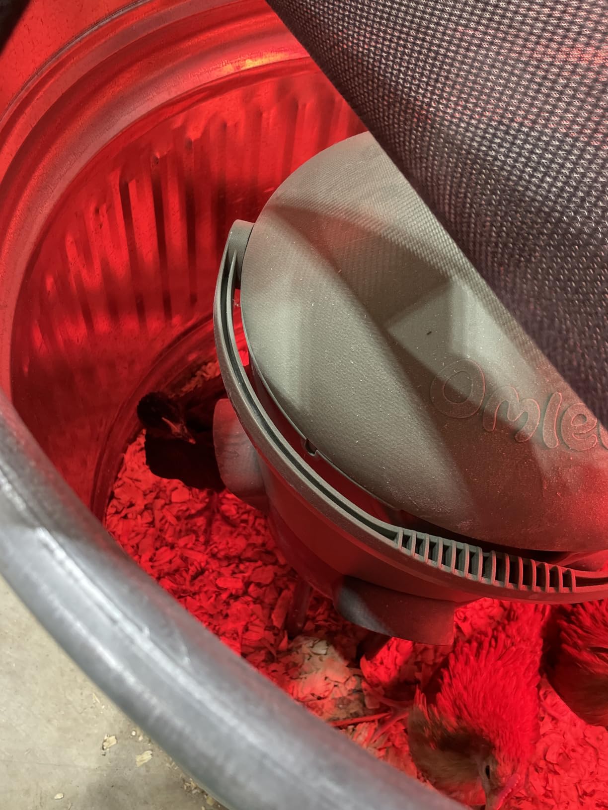 Omlet Insulated Chicken Waterer, 1.5 Gallon | Stay-Clean Automatic Water Dispenser for Chickens | BPA-Free | Anti-Roost Domed Lid | Includes 3 Cups & Nipples | Sage Green customer photo 2