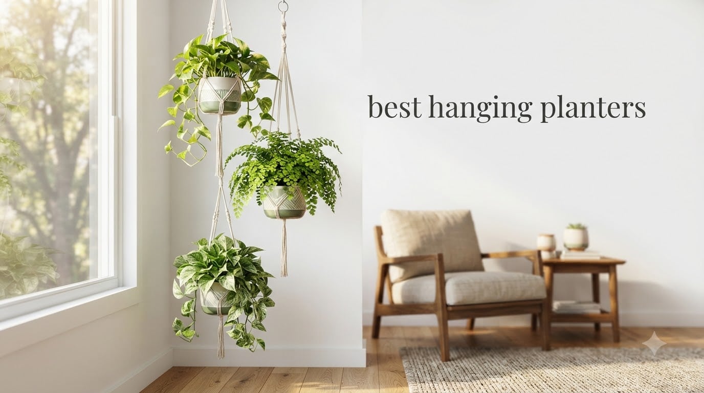 best hanging planters