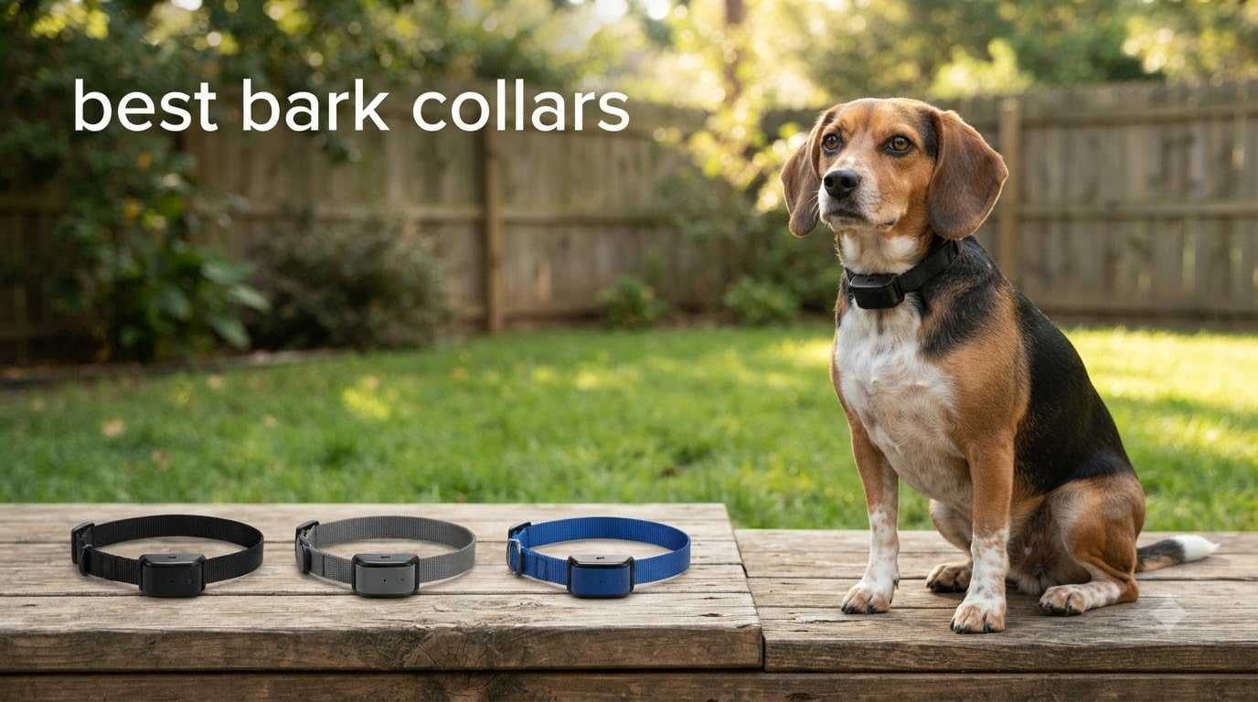 best bark collars