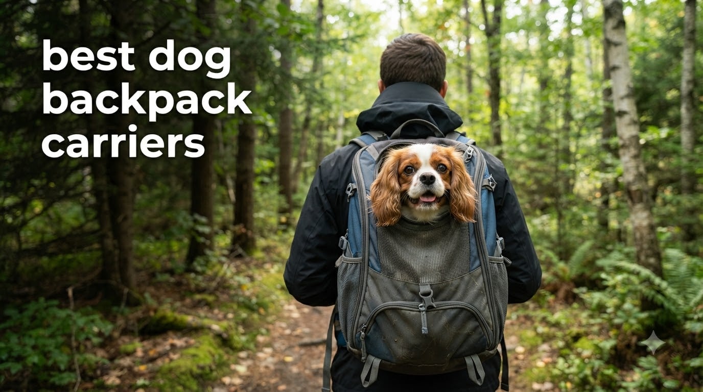 best dog backpack carriers