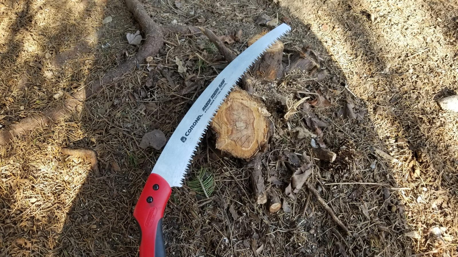 Corona Tools 14-Inch RazorTOOTH Pruning Saw | Tree Saw Designed for Single-Hand Use | Curved Blade Hand Saw | Cuts Branches Up to 8