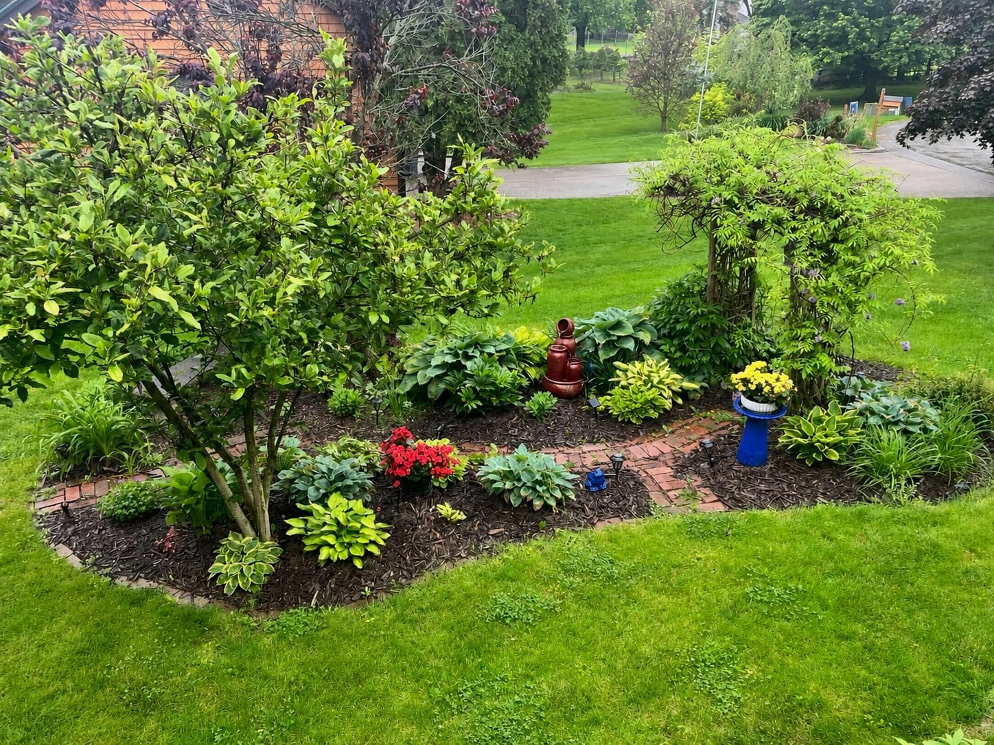 Concentrated Deer Repellent - Bobbex | Deer, Elk, and Moose Deterrent Concentrate (64 oz.) customer photo 2