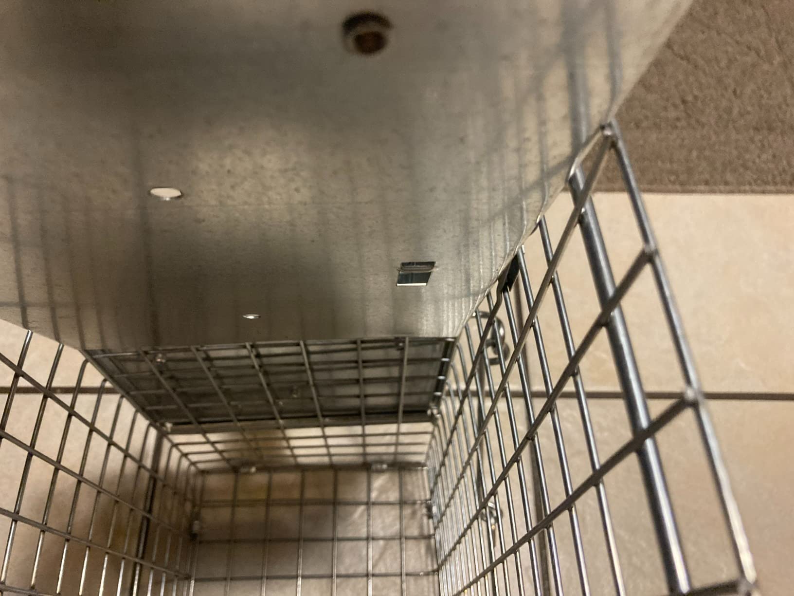 Havahart Easy-Set Catch and Release Small 1-Door Humane Live Animal Trap for Squirrels, Rabbits, Skunks, and Other Small Animals - 1083 customer photo 1