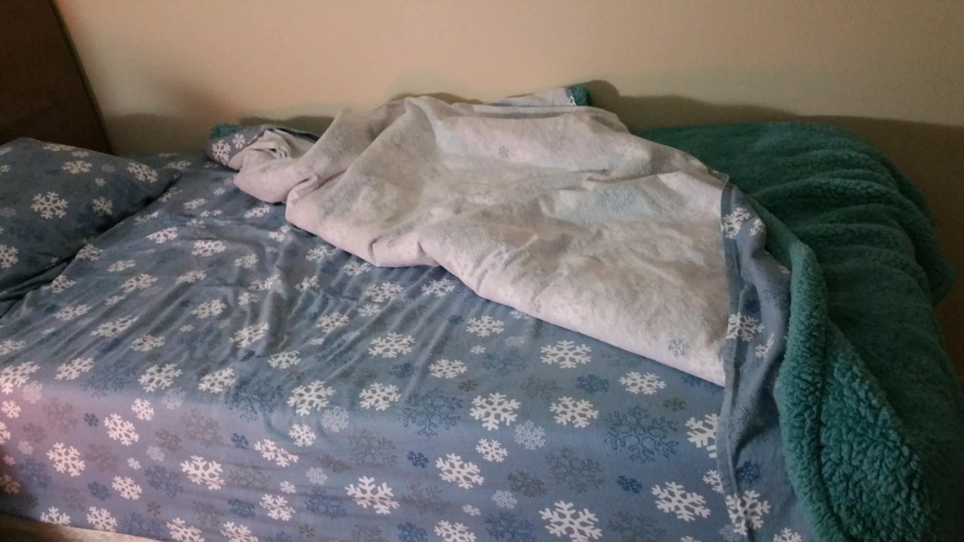 Pointehaven Heavy Weight Flannel Sheet Set, Queen, Snow Flakes - Warm & Cozy - 100% Cotton Flannel Pre-Shrunk -170 GSM -Deep Pockets -Easy Fit Elastic All Around-Comfy Double Brushed customer photo 2