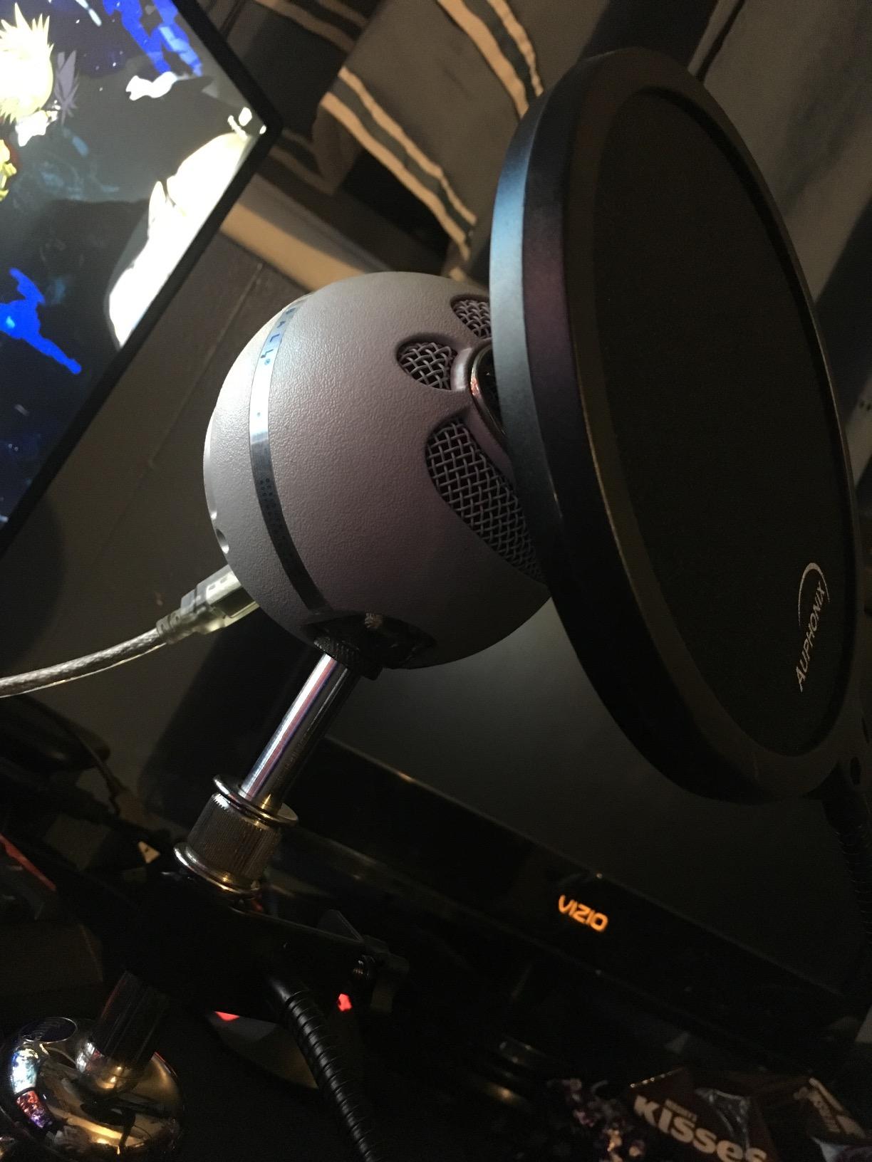 Microphone Pop Filter (MPF-1) 6-inch Diameter With Double Mesh Filter Screen customer photo 1