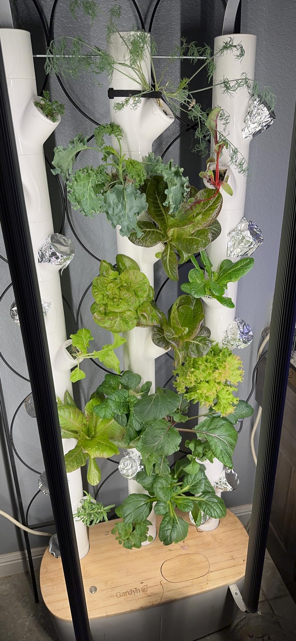 FoxFarm Grow Big Hydroponic Plant Food - 3-2-6 Liquid Plant Fertilizer for Lush Vegetative Growth in Hydroponic Systems - Liquid Concentrate with Earthworm Castings & Micronutrients - 1 Pint customer photo 1