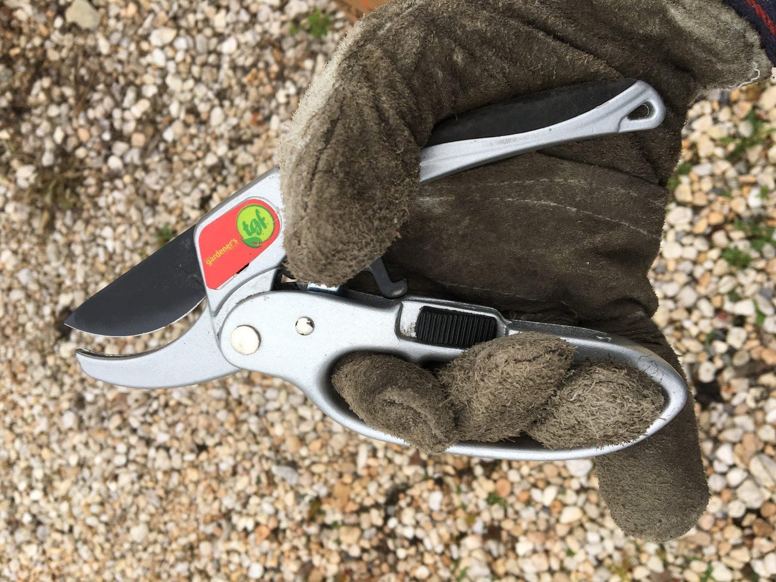 The Gardener's Friend Heavy Duty Ratchet Pruning Shears, Anvil customer photo 1