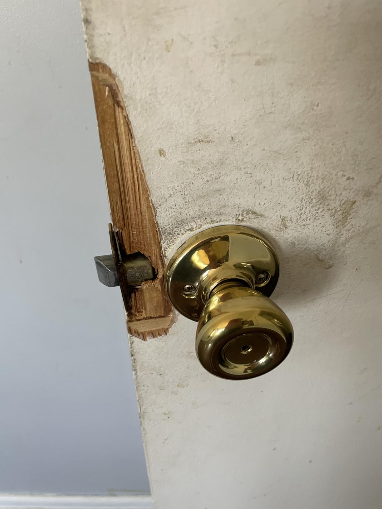 Prime-Line Door Reinforcement Plate, Stainless Steel, for 1-3/8 in. Doors customer photo 1