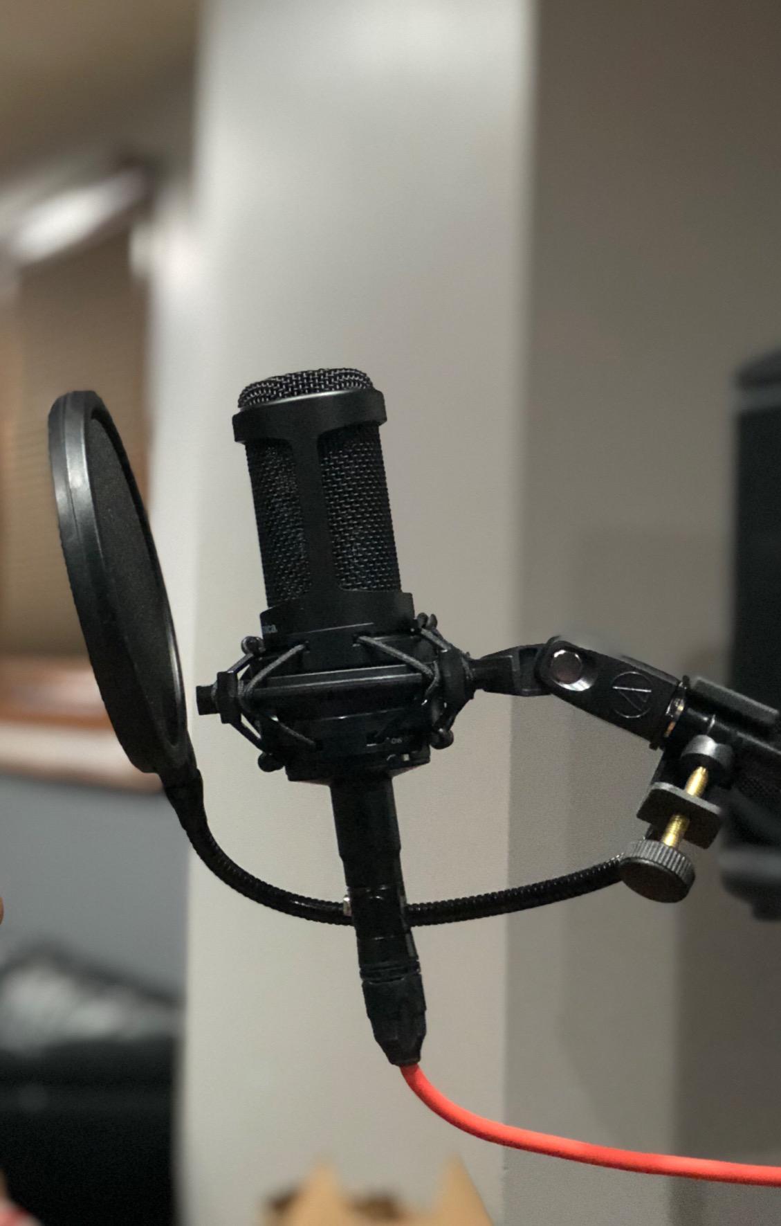 SAMSON PS04 Microphone Pop Filter Restock Deal customer photo 2