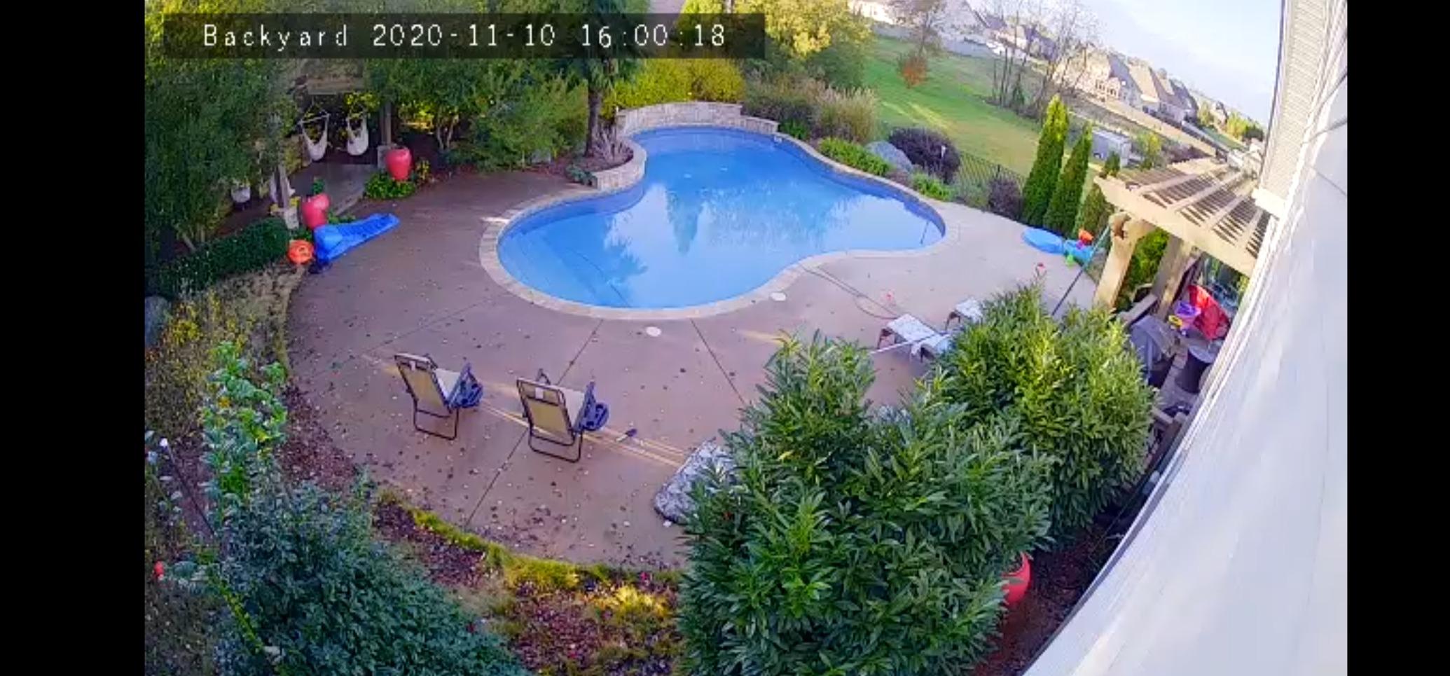 POOL BLASTER Leaf Vac Cordless Hoseless Pool Leaf Vacuum & Skimmer, Battery-Powered Swimming Pool Leaf Catcher with Heavy Duty Mesh Bag, for Inground and Above Ground Pools, by Water Tech customer photo 1