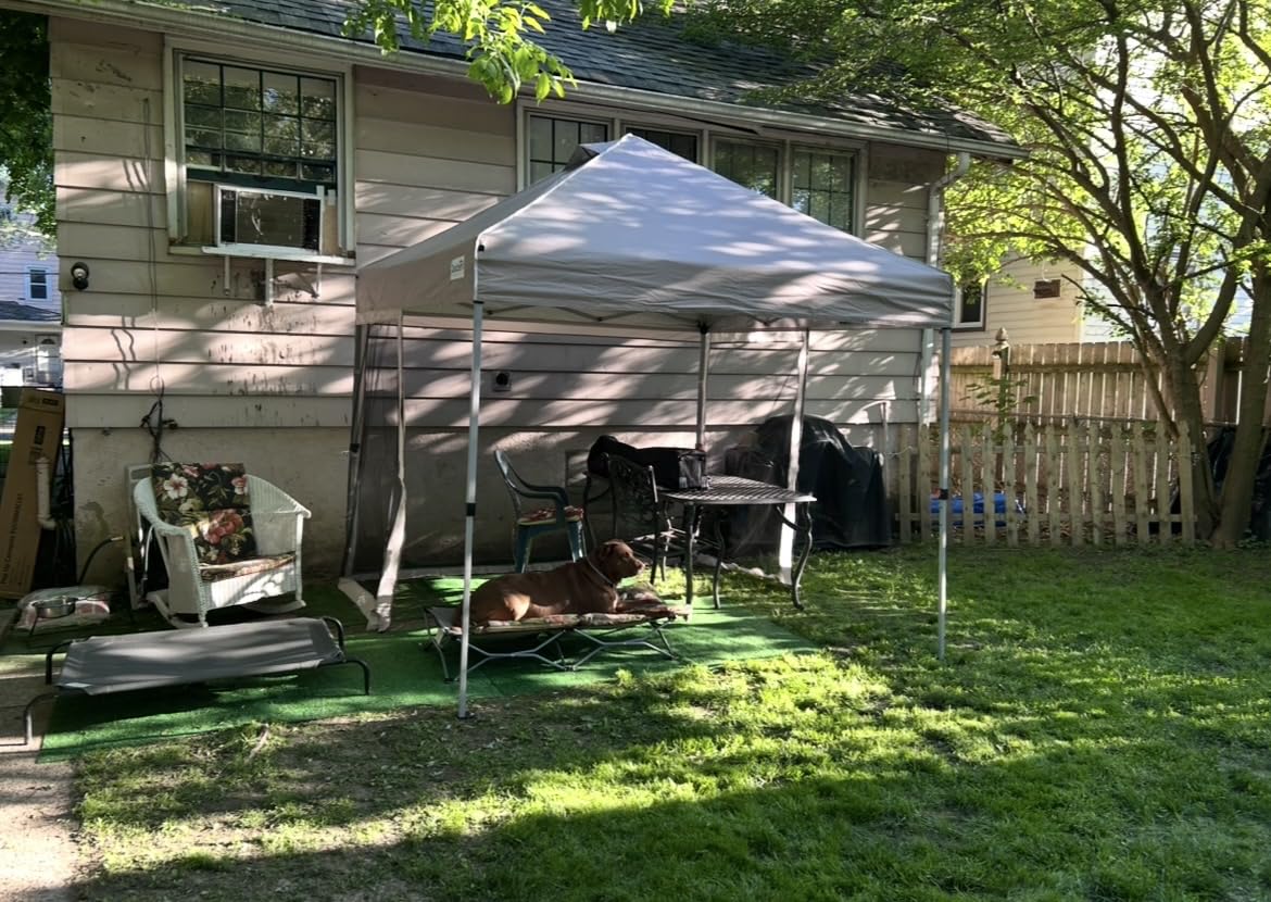 Quictent 10'x10' Pop up Screened Canopy Tent with Mosquito Netting customer photo 2