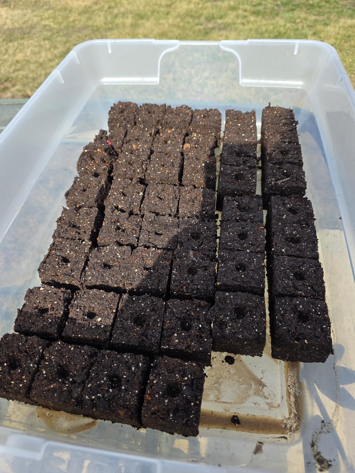 Authentic Ladbrooke Mini 4 Soil Blocker — Four 2