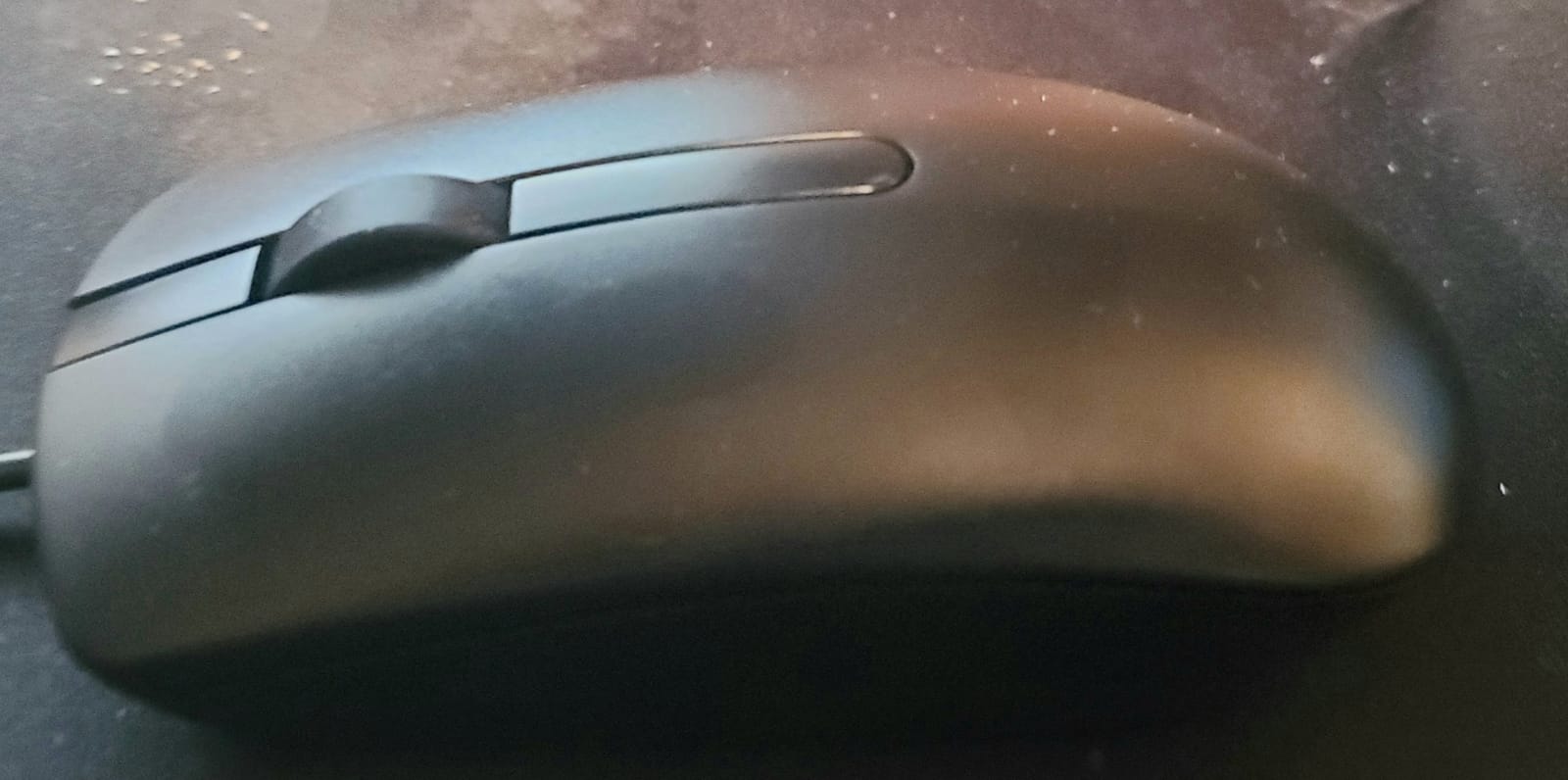 Dell Wired Mouse MS116, Black customer photo 1