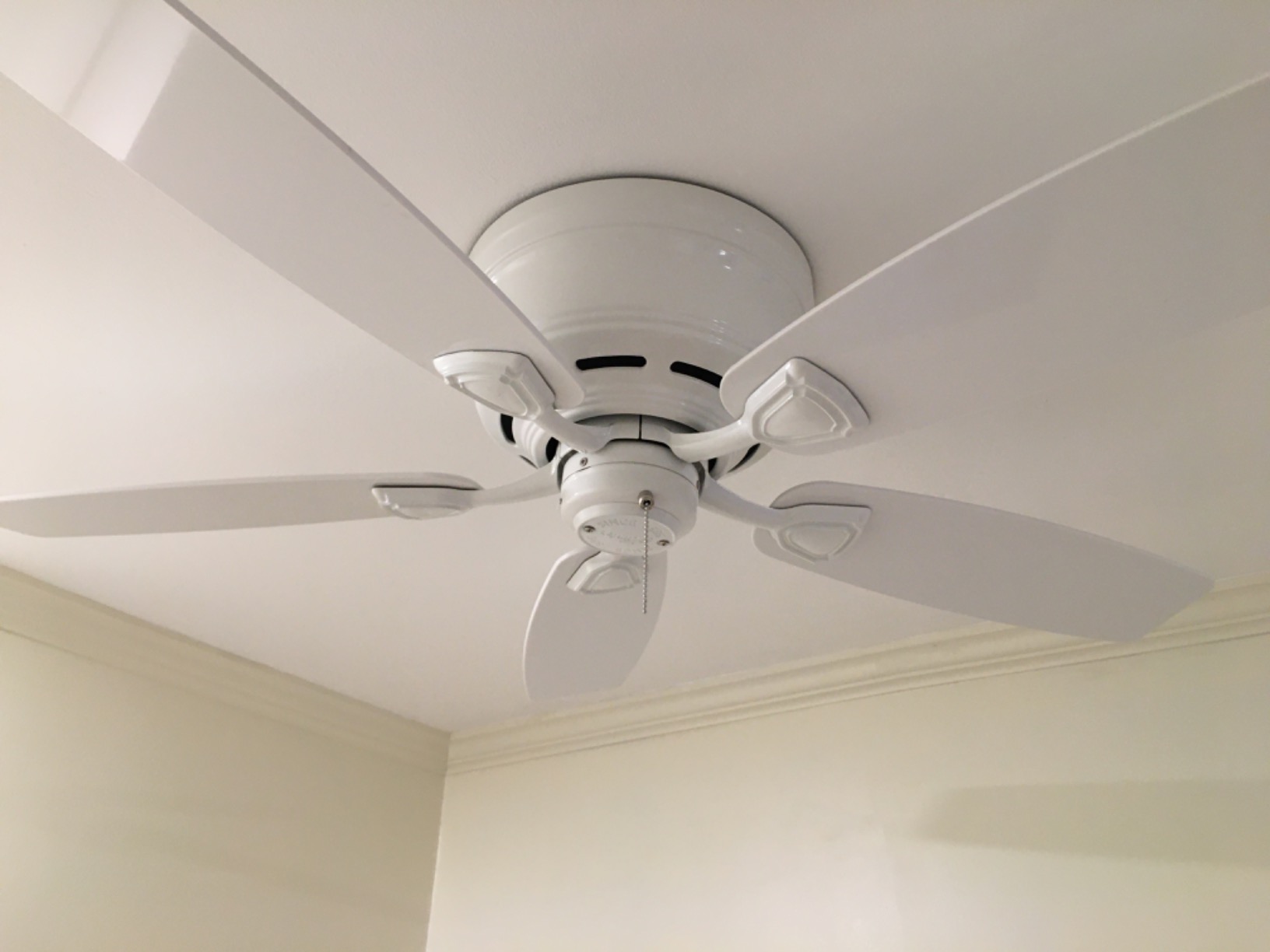 Hunter Sea Wind, Outdoor or Indoor, Ceiling Fan, No Light, 48 inch, White customer photo 2