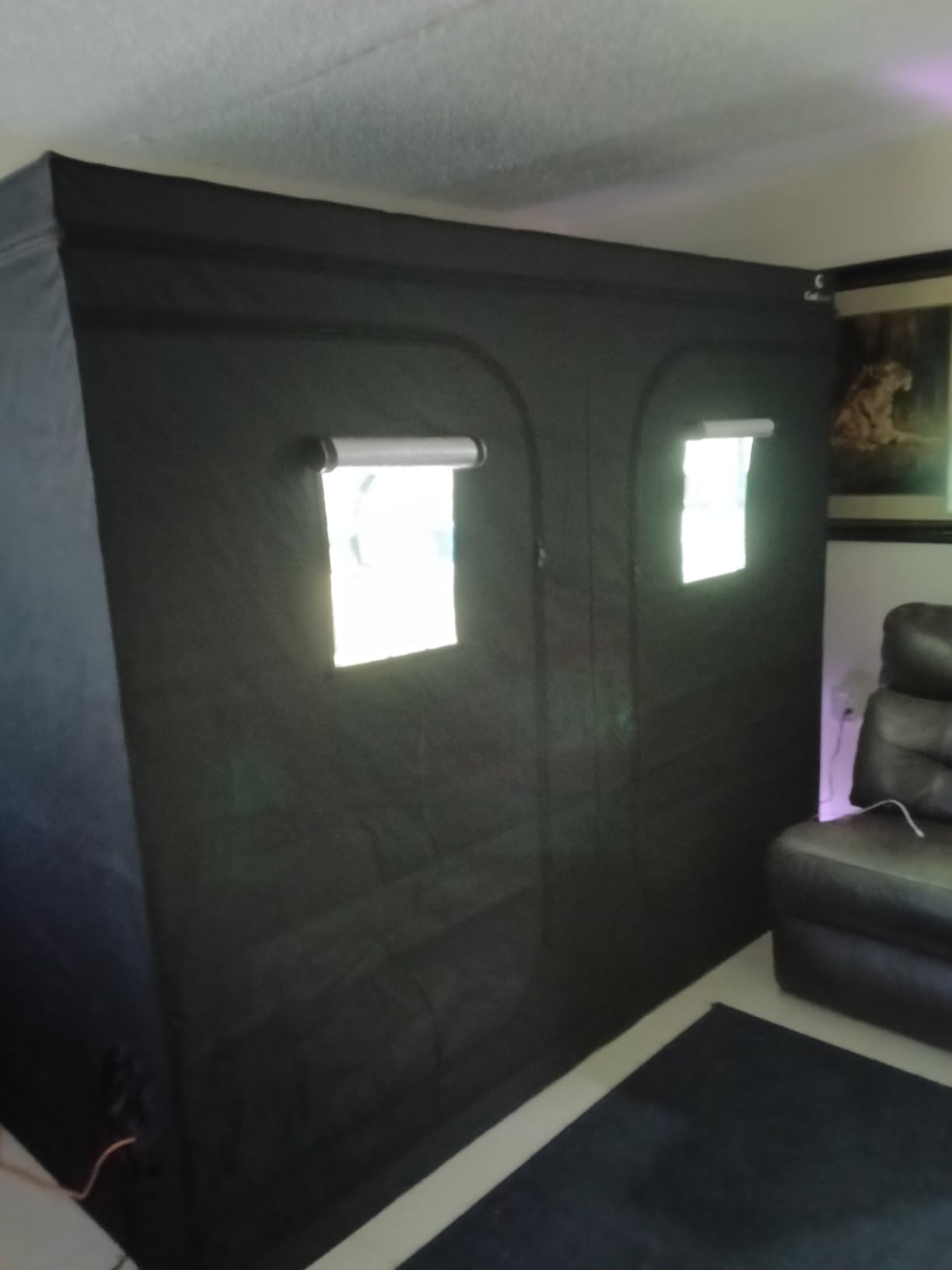 Grow Tent for Indoor Plant Growing Dismountable Reflective Hydroponic Non Toxic Room (32