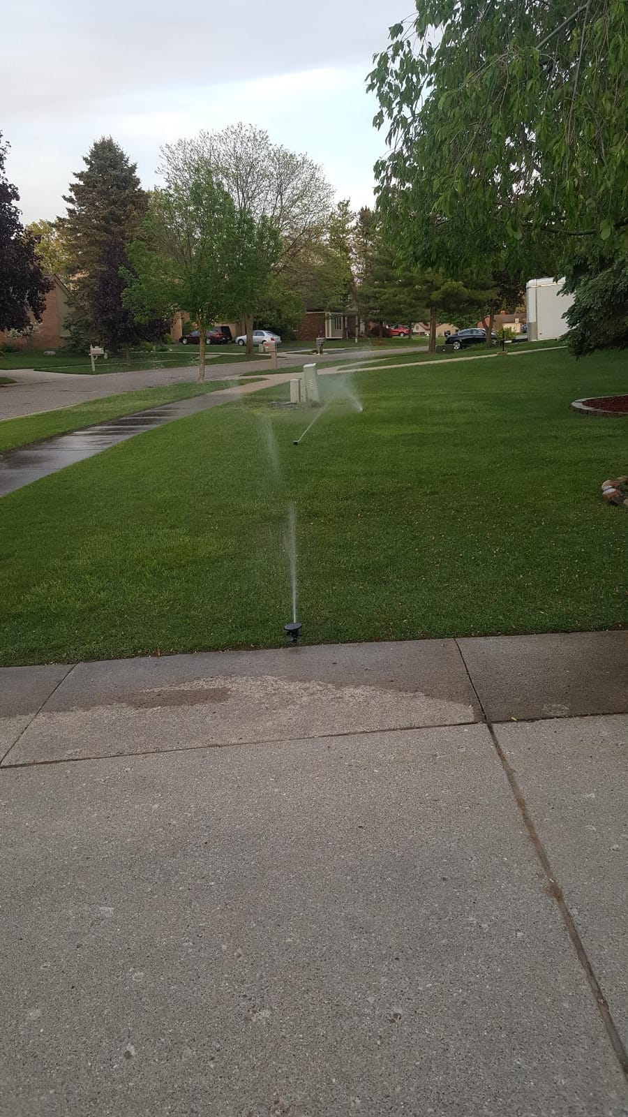 Orbit Pulse Pop-Up Impact Sprinkler Head, Black - 55200 customer photo 2