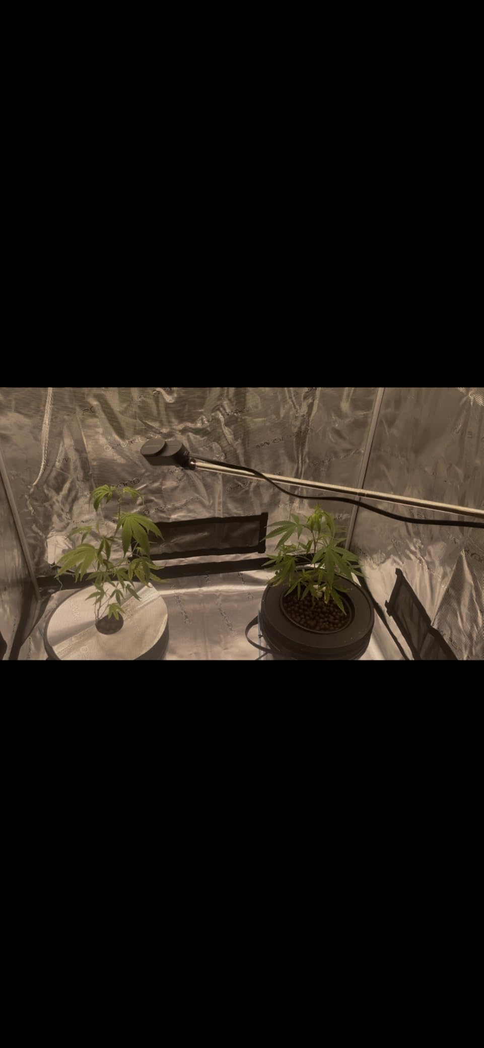 MARS HYDRO 4x2x6 Grow Tent, 48