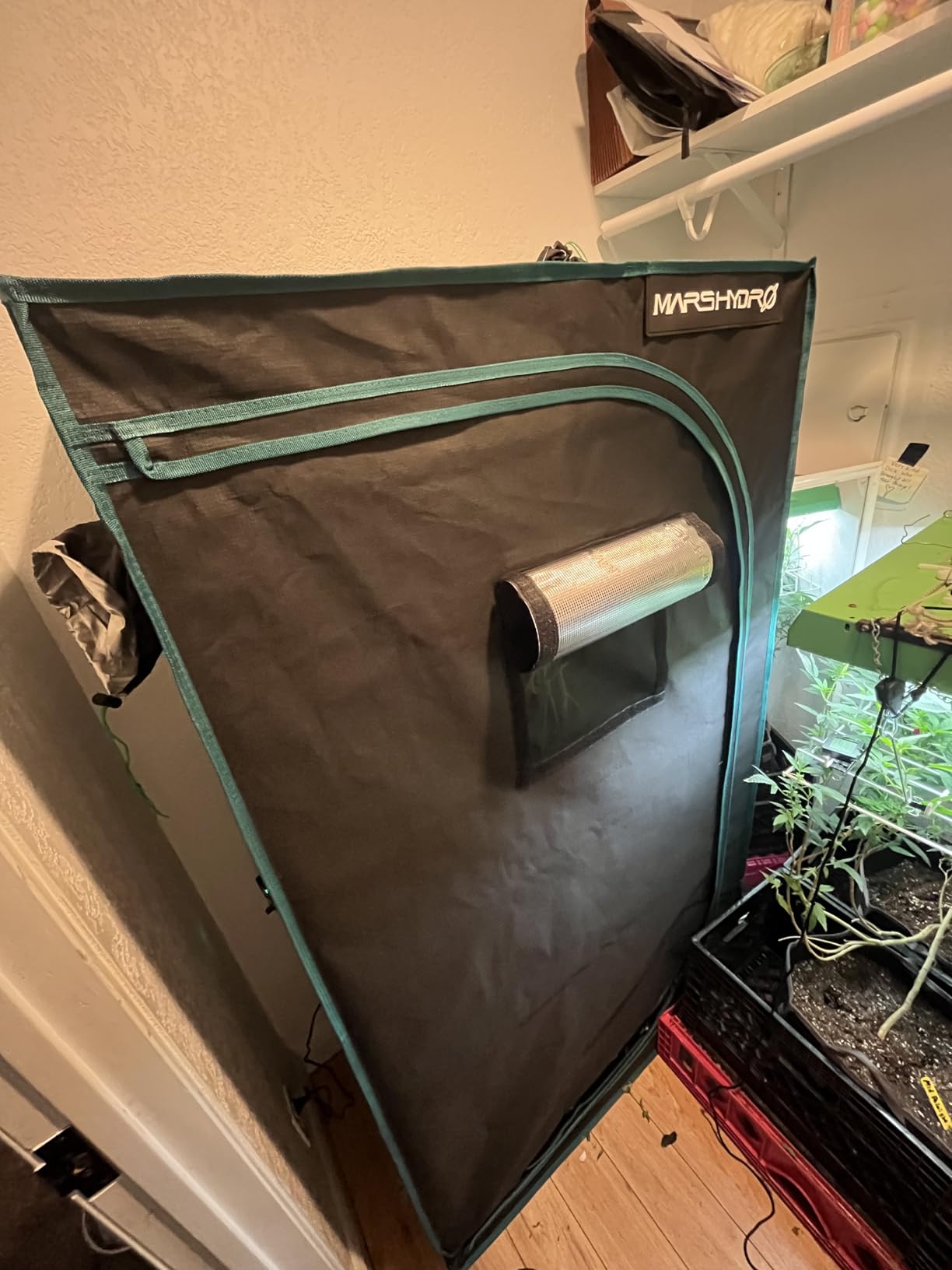 MARS HYDRO 4x2x6 Grow Tent, 48