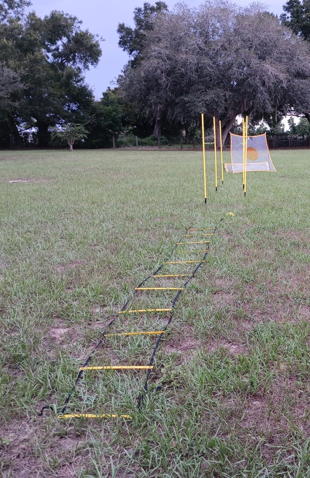 YISSVIC Agility Ladder and Cones 20 Feet 12 Adjustable Rungs Fitness Speed Training Equipment,1 Carry Bags, 10 Cones, 4 Stakes, Basketball, Soccer customer photo 2