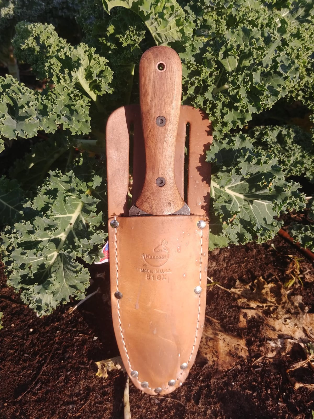 Barebones Hori Hori Classic - Garden Knife - Heat-Tempered Stainless Steel Blade and Walnut Handle customer photo 2