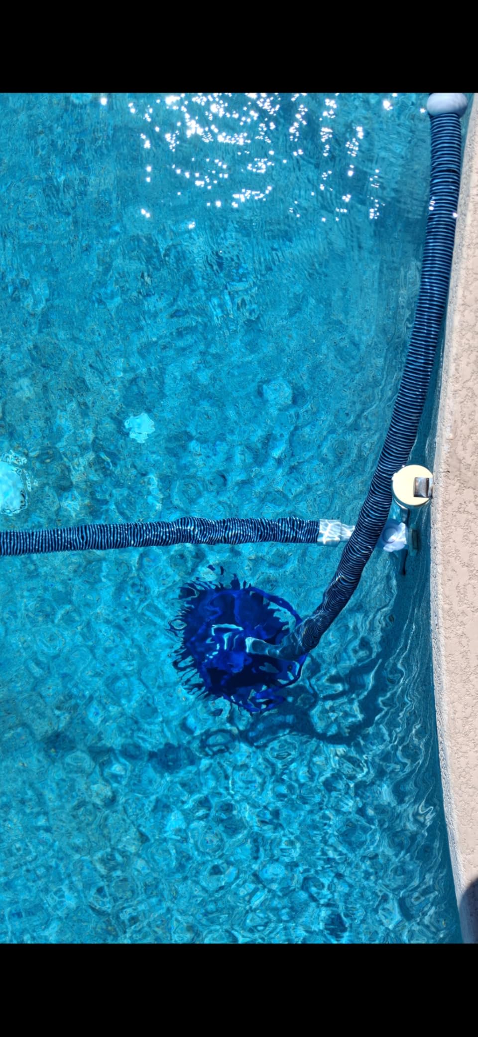 VINGLI Suction Pool Cleaner, Automatic Wall-Climbing Vacuum -Navy Blue customer photo 2