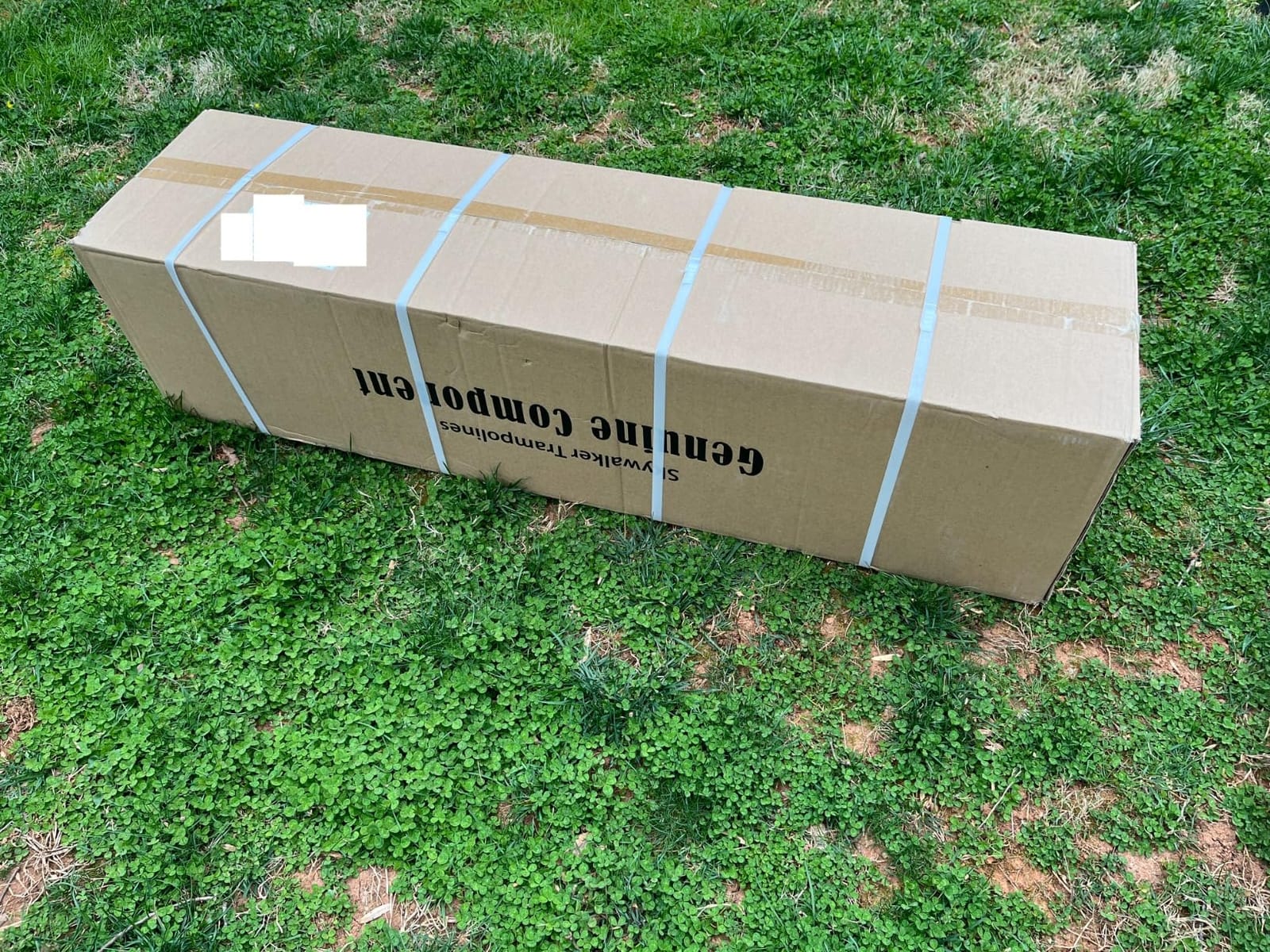 Skywalker Trampolines Spring Pad customer photo 1