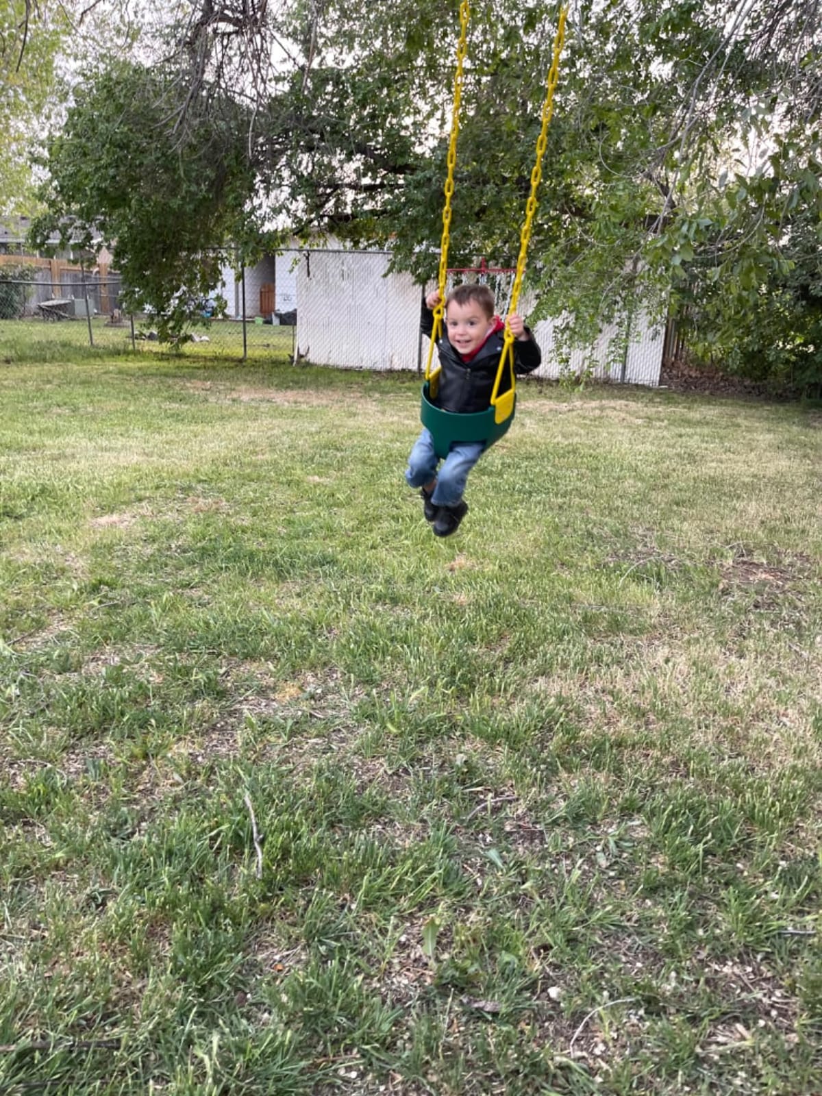 Deluxe High Back Full Bucket Toddler Swing with Pinch Protection, Green customer photo 1