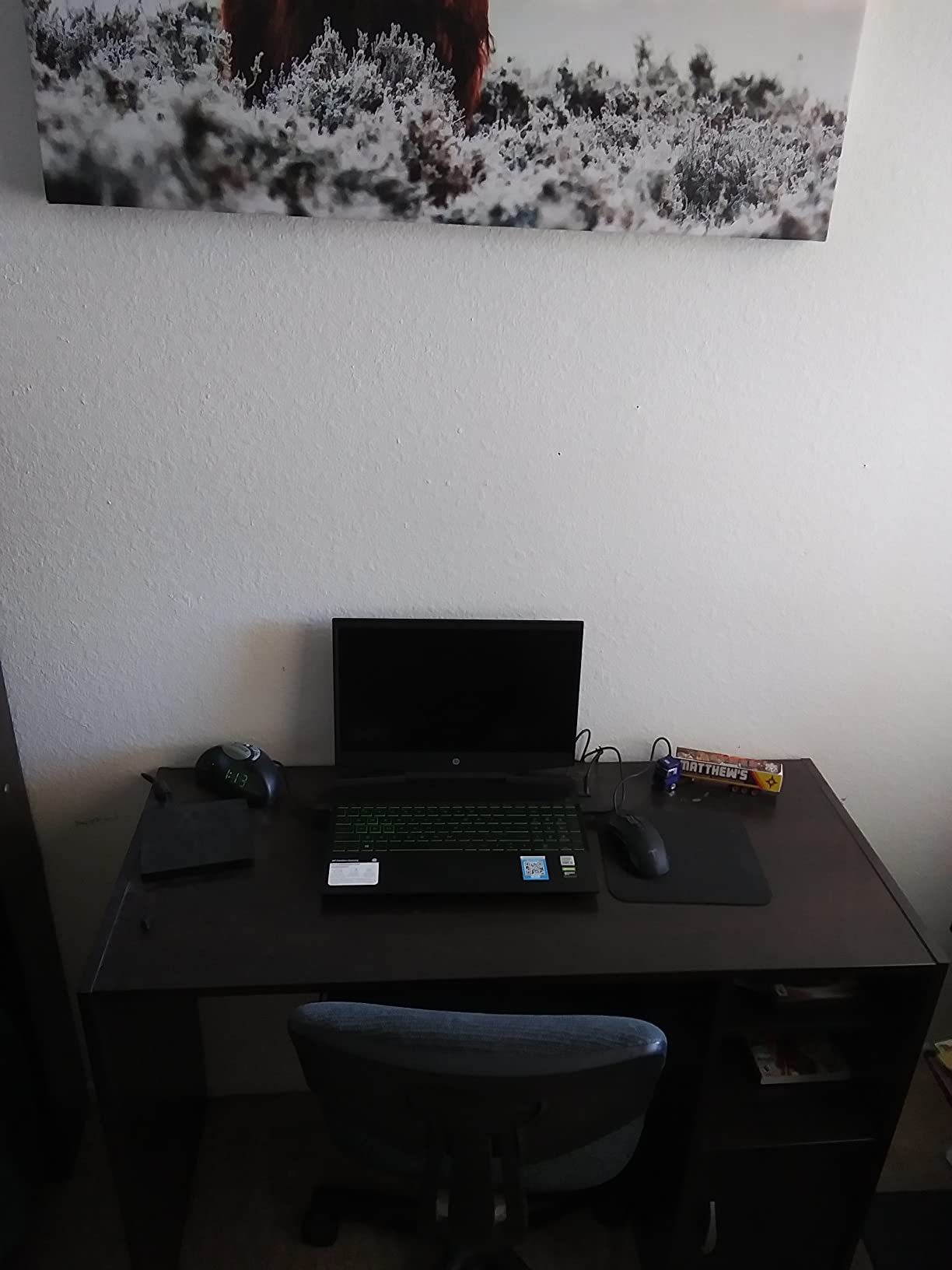HP Pavilion Gaming 15.6-Inch Micro-EDGE Laptop, Intel Core i5-9300H Processor, NVIDIA GeForce GTX 1650 (4 GB), 8 GB SDRAM, 256 GB SSD, Windows 10 Home (15-dk0020nr, Shadow Black/Acid Green) customer photo 1
