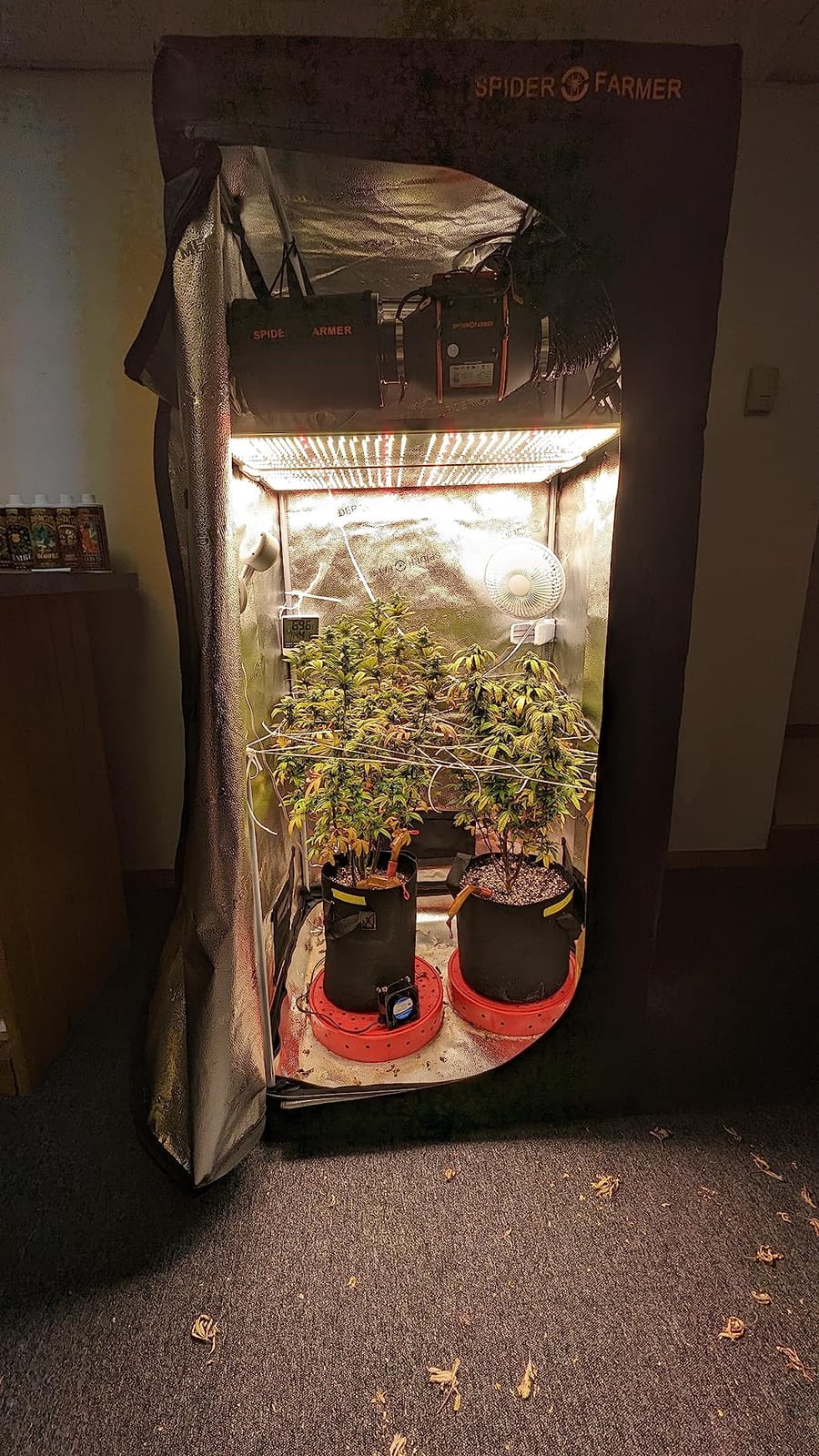 Spider Farmer SF1000 LED Grow Lights for Indoor Plants in 2x2/3x3 Grow Tent customer photo 1