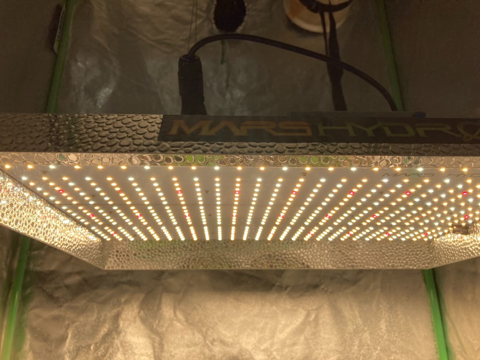 MARS HYDRO 100W TS600 2x2ft Dimmable LED Grow Lights for Indoor Plants customer photo 1