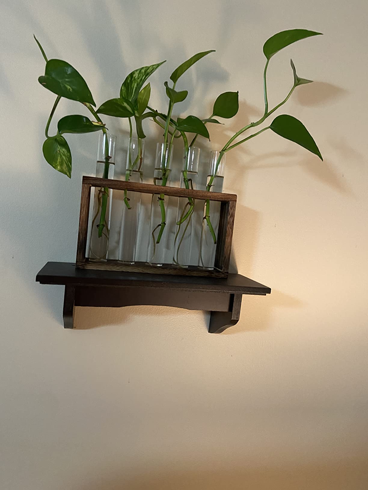 Propagation Station, Plants Terrarium, Plants Lover Gifts for Women,Plant Cutting Holder Home décor,Gifts for Women,House Warming New Home-5 Tubes-Brown customer photo 1