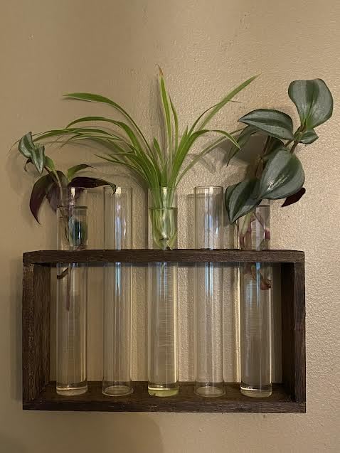 Propagation Station, Plants Terrarium, Plants Lover Gifts for Women,Plant Cutting Holder Home décor,Gifts for Women,House Warming New Home-5 Tubes-Brown customer photo 2