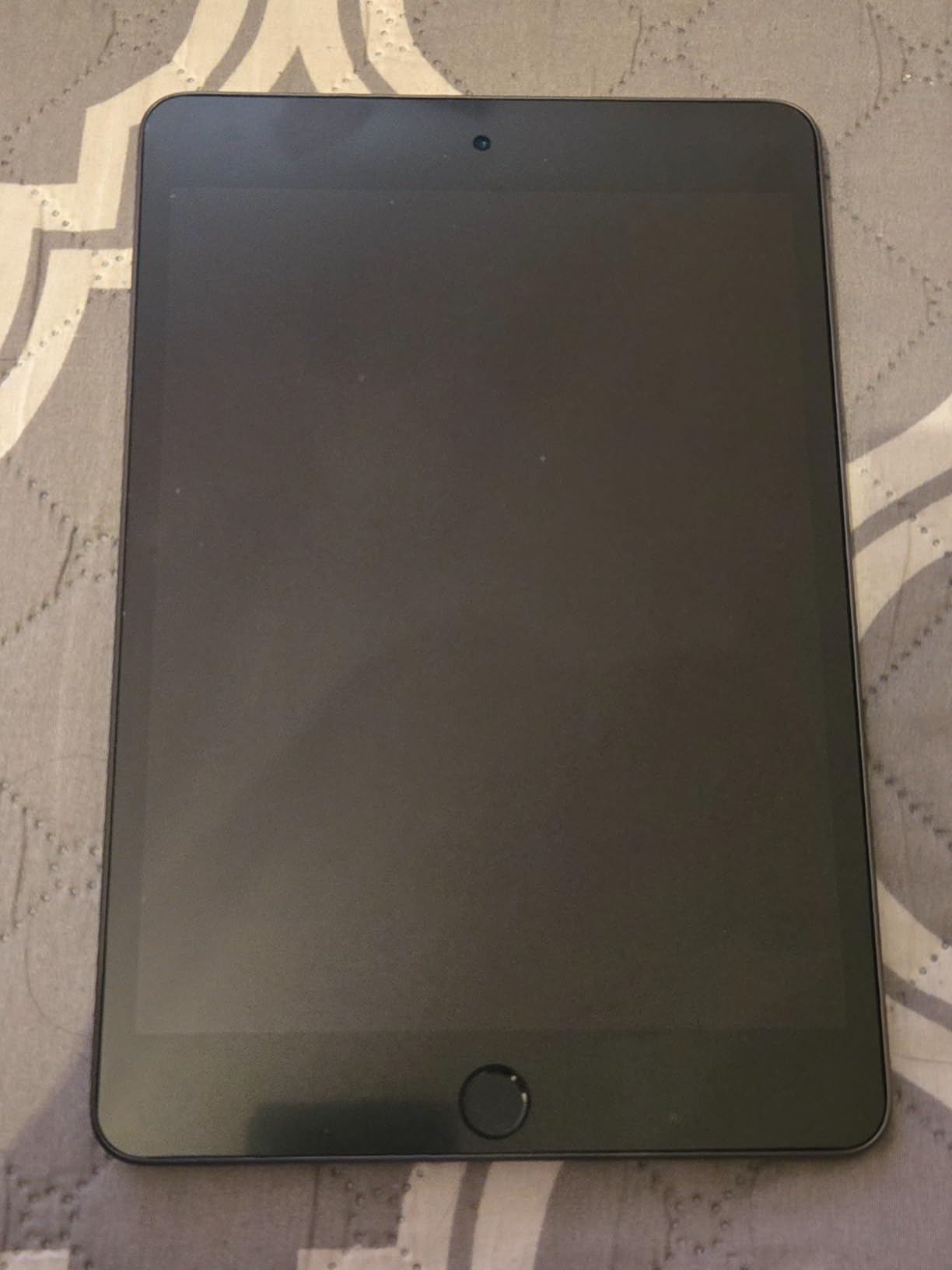 Apple 2019 iPad mini 7.9-inch, WiFi, 256GB - Space Gray (Renewed) customer photo 1