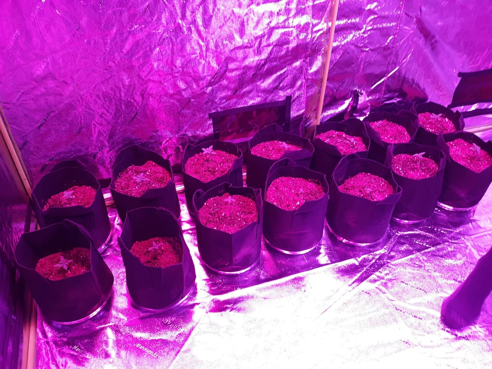 VIVOSUN R446 4x4 Grow Tent 48