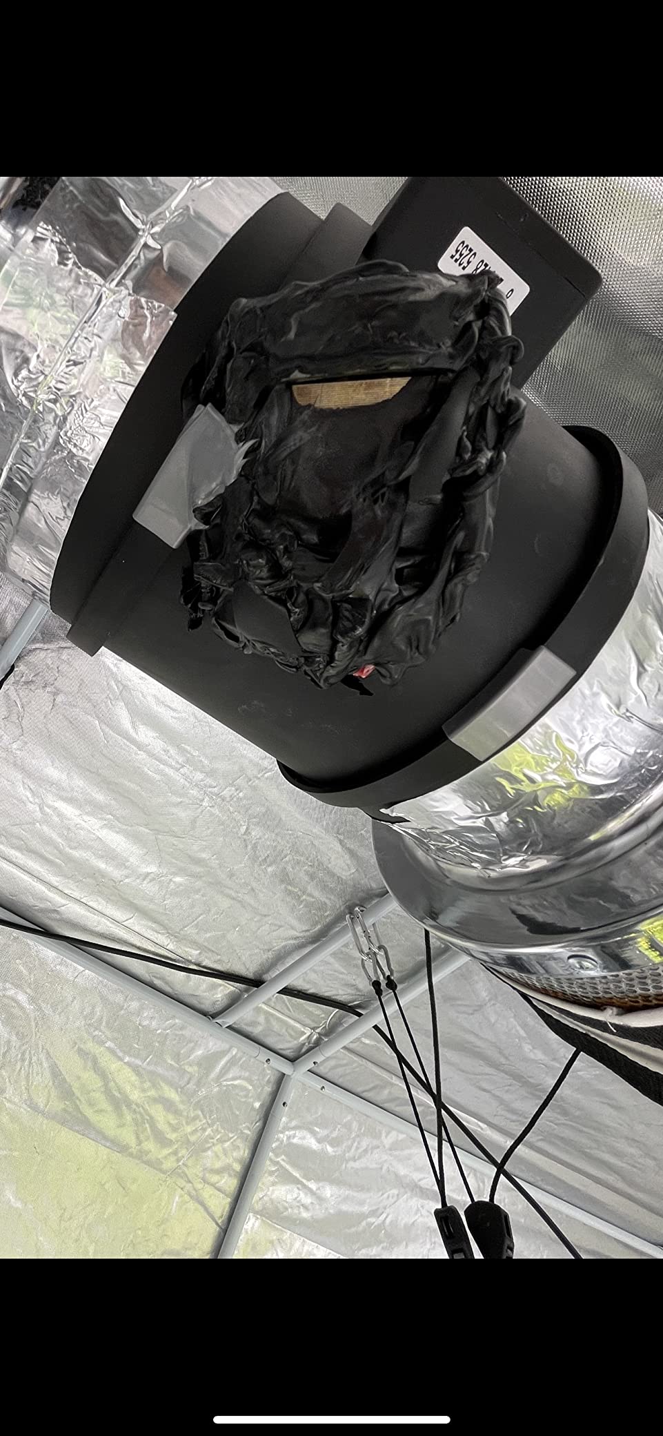 VIVOSUN 6