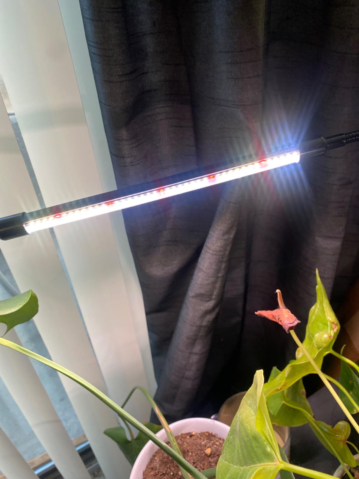 GHodec Grow Light,Full Spectrum White 84 LED Clip Plant Light customer photo 1