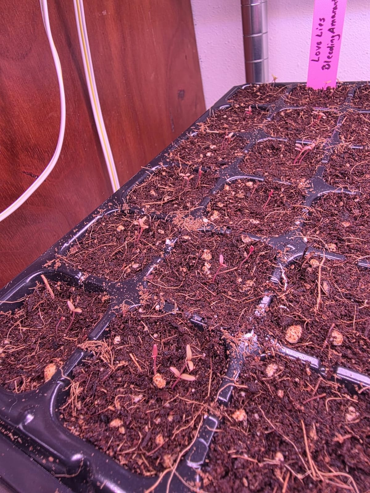 Barrina 4FT T8 Plant Grow Light, 42W Full Spectrum LED Growing Lamp, 6 Pack customer photo 2